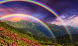 雨后彩虹爆料最新消息,最新消息带你领略彩虹背后的科学奥秘